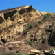 The Tanis formation